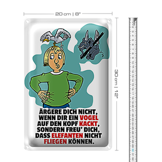 Blechschild Spruch 20x30cm Freu dich Elefanten nicht fliegen
