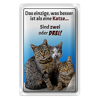Blechschild Spruch 20x30cm einzige was besser ist als Katze