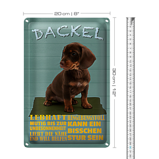 Blechschild Spruch 20x30cm Dackel Hund lebhaft mutig stur