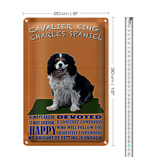 Blechschild Spruch 20x30cm Cavalier King Charles Spaniel