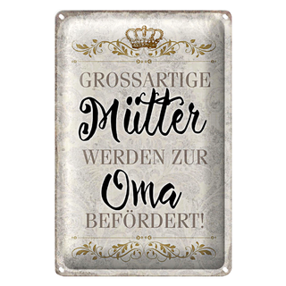 Blechschild Spruch 20x30cm grossartig Mütter werden zur Oma