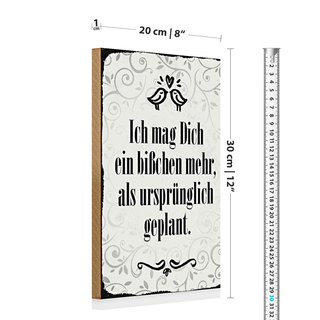 Holzschild Spruch 20x30cm ich mag dich ein bißchen mehr