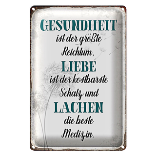 Blechschild Spruch 20x30cm Gesundheit Liebe Lachen Medizin