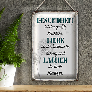 Blechschild Spruch 20x30cm Gesundheit Liebe Lachen Medizin