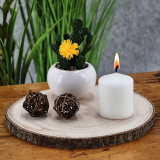 Baumscheibe 29x29x3cm Paulownia Holzscheibe Naturprodukt Scheibe Holz Holzplatte Dekoelement