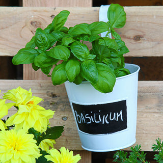 Übertopf 6er Set | weiß Ø15cm H5cm | Kräutertopf zum Aufhängen und Beschriften | Blumentopf Blechtopf Topf Hängetopf…