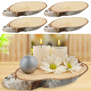 Baumscheibe 4er Set Birke 29x14x2,5cm Holzscheibe Naturprodukt Scheibe Holz Holzplatte Dekoelement