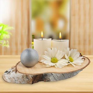 Holzscheibe Birke 4er Set 29x14x2,5cm Naturprodukt Scheibe Holz Holzplatte Dekoelement