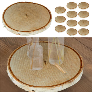 Baumscheibe 12er Set Birke Ø12x1cm Holzscheibe Naturprodukt Scheibe Holz Holzplatte Dekoelement